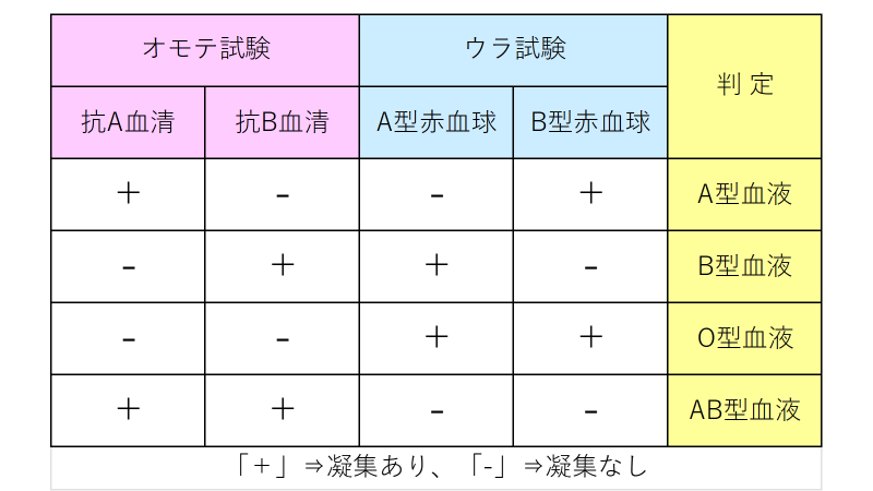 貧血吃什麼水果